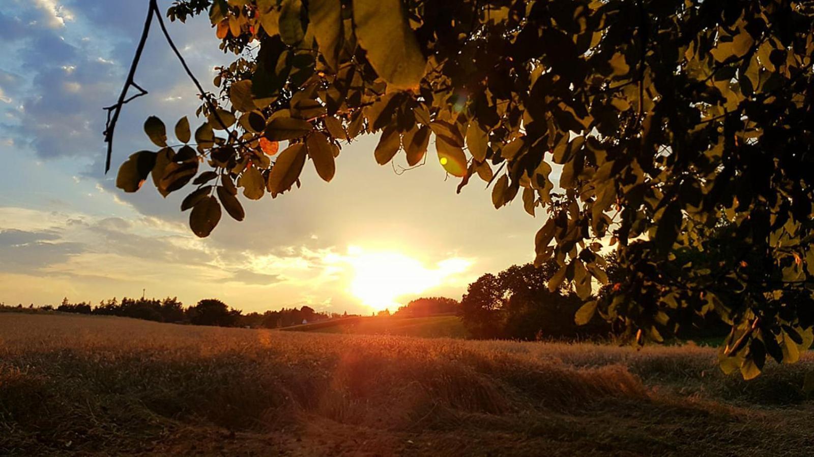 Ferienwohnung "Haus Falle" Schiefling am See Buitenkant foto